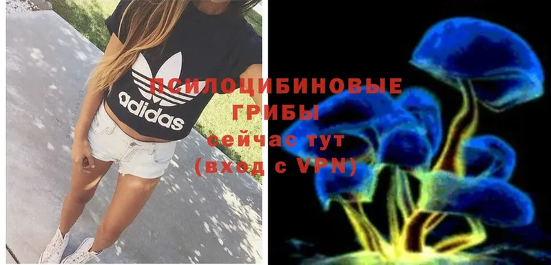 Псилоцибиновые грибы Magic Shrooms  цена   Верхоянск 